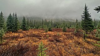 Babel Creek - Parc National de Banff Canada 2023